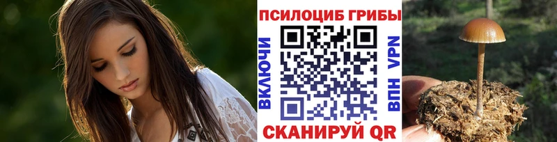 Псилоцибиновые грибы Psilocybe  ОМГ ОМГ ТОР  Николаевск 